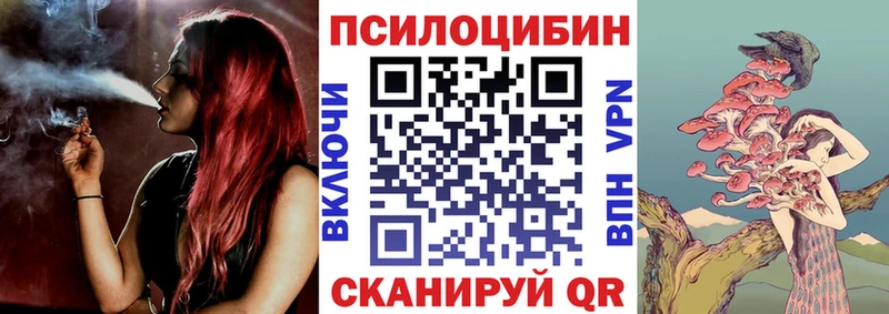 Псилоцибиновые грибы прущие грибы  Серафимович 